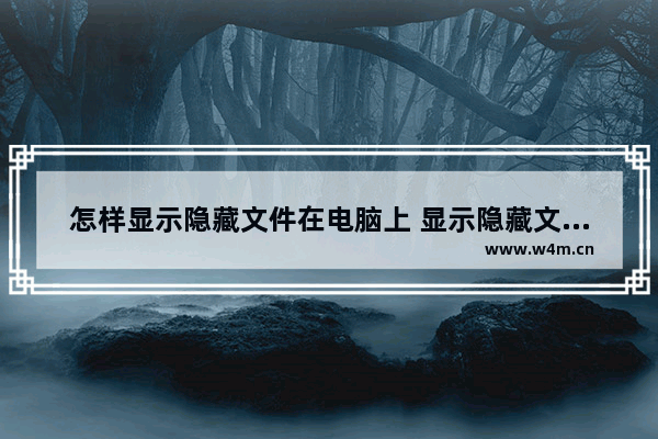 怎样显示隐藏文件在电脑上 显示隐藏文件夹的操作步骤