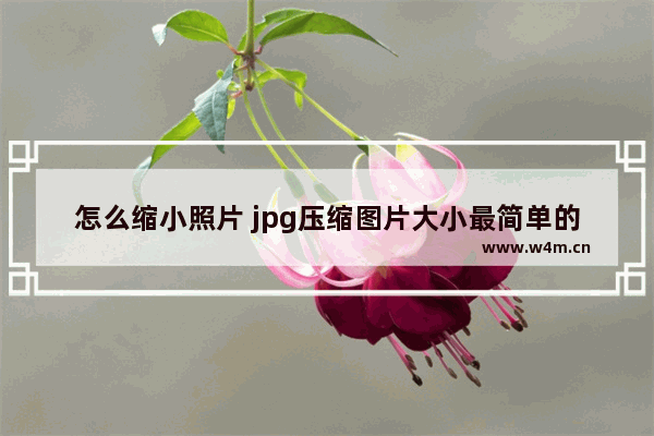 怎么缩小照片 jpg压缩图片大小最简单的方法