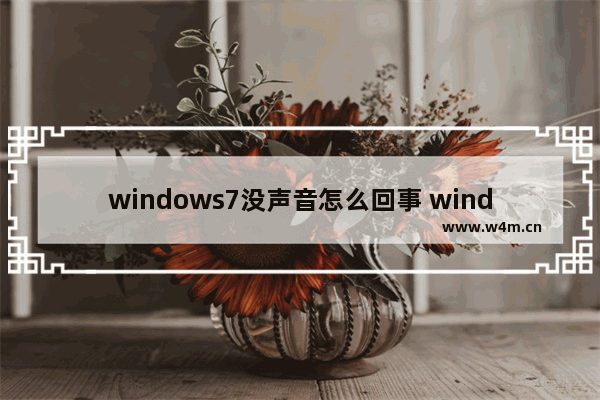 windows7没声音怎么回事 windows7电脑没有声音处理方法