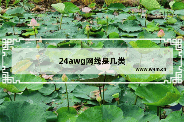 24awg网线是几类