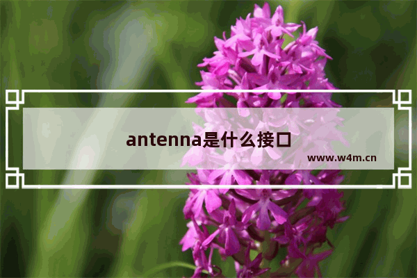 antenna是什么接口