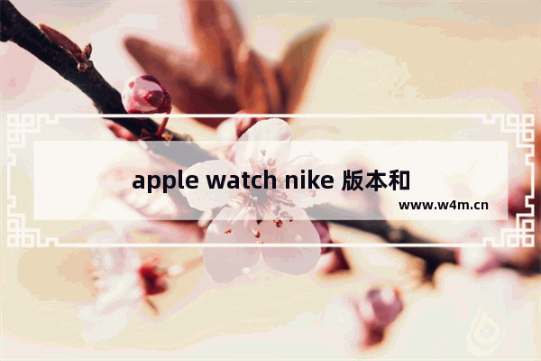 apple watch nike 版本和普通有什么区别