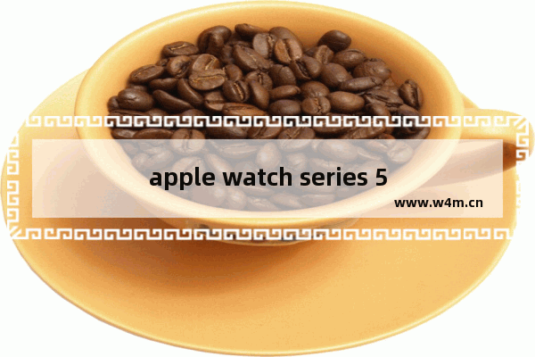 apple watch series 5上市时间