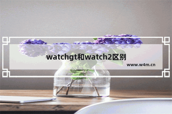 watchgt和watch2区别