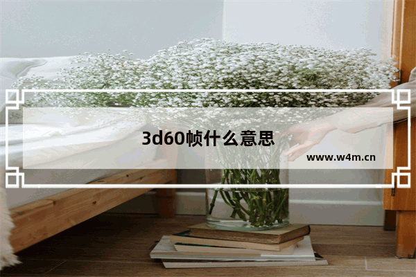 3d60帧什么意思