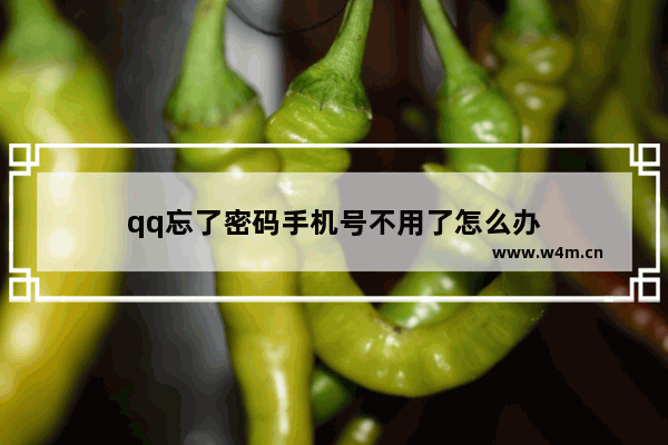 qq忘了密码手机号不用了怎么办