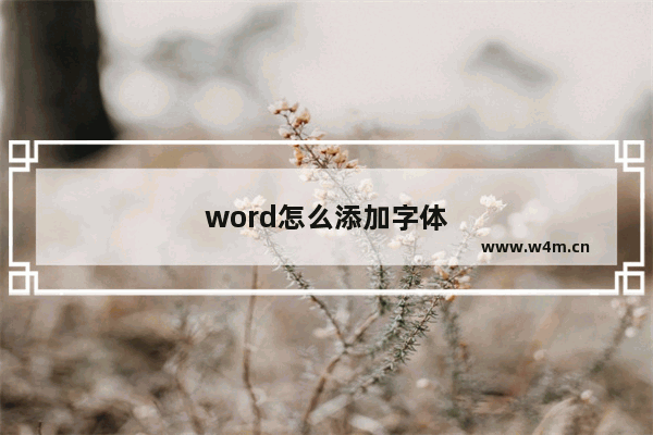 word怎么添加字体