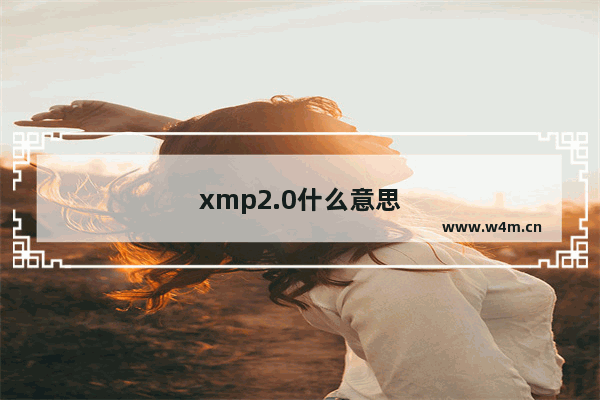 xmp2.0什么意思