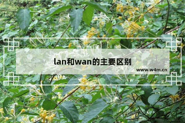 lan和wan的主要区别