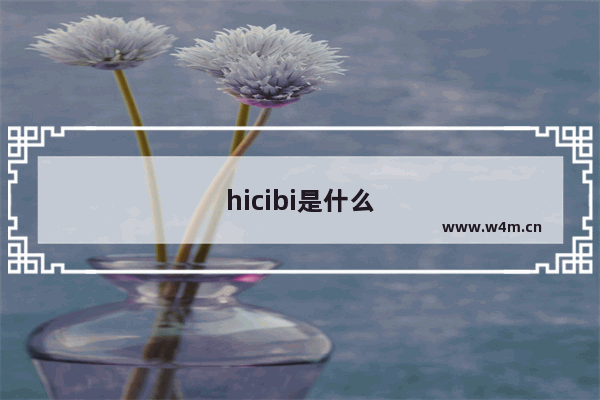 hicibi是什么