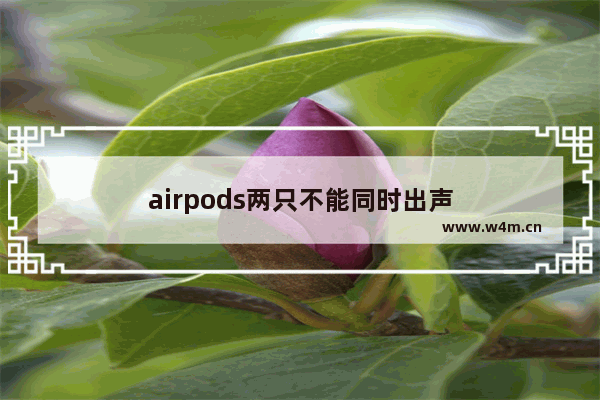 airpods两只不能同时出声