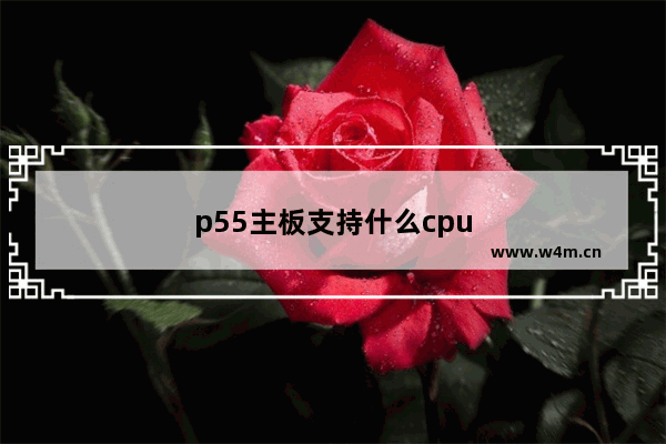 p55主板支持什么cpu