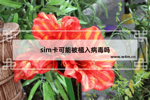 sim卡可能被植入病毒吗