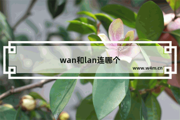 wan和lan连哪个