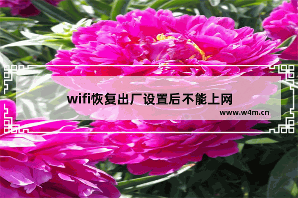 wifi恢复出厂设置后不能上网