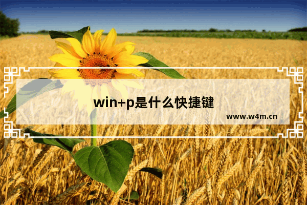 win+p是什么快捷键