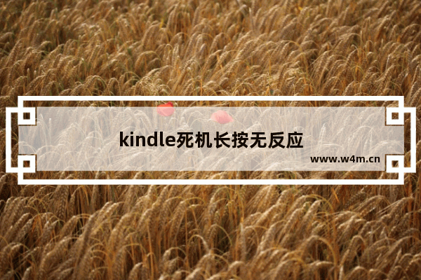 kindle死机长按无反应