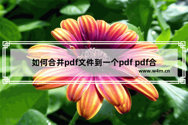 如何合并pdf文件到一个pdf pdf合并最简单方法免费