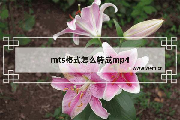 mts格式怎么转成mp4