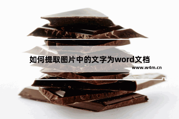 如何提取图片中的文字为word文档