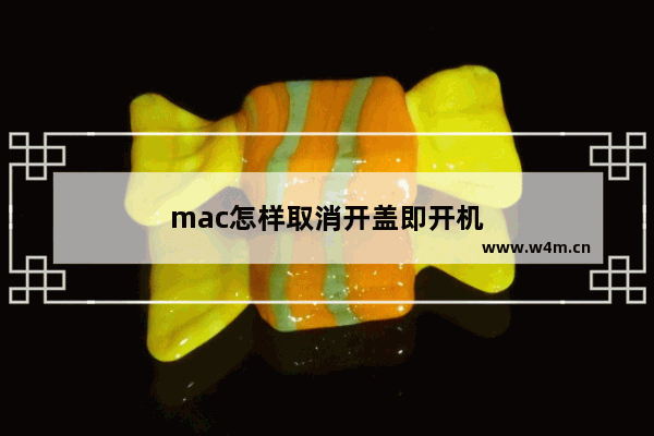 mac怎样取消开盖即开机