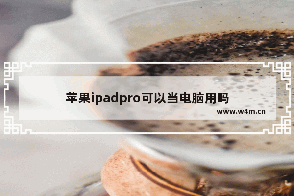 苹果ipadpro可以当电脑用吗