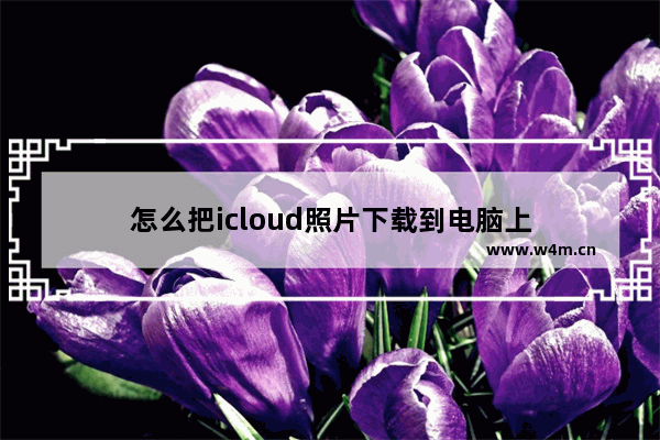 怎么把icloud照片下载到电脑上