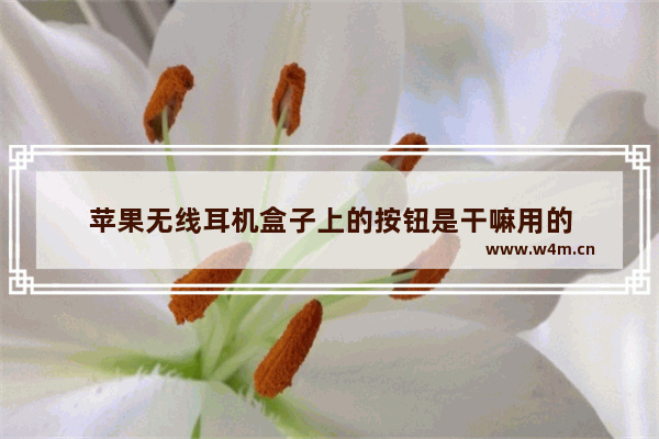 苹果无线耳机盒子上的按钮是干嘛用的