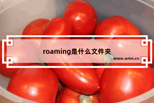 roaming是什么文件夹