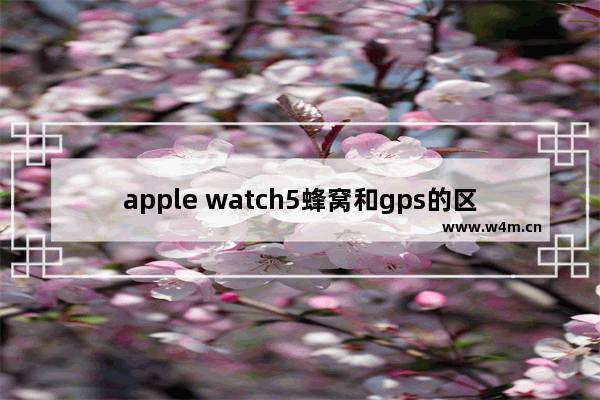 apple watch5蜂窝和gps的区别