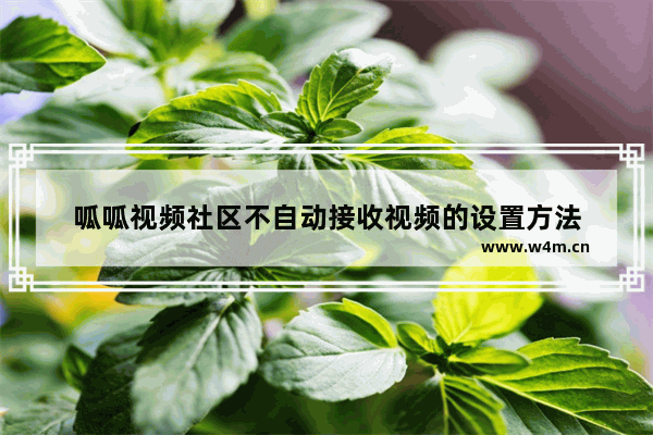 呱呱视频社区不自动接收视频的设置方法