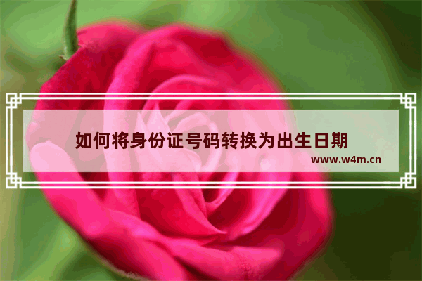 如何将身份证号码转换为出生日期