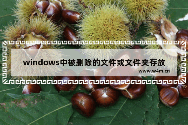 windows中被删除的文件或文件夹存放在哪里