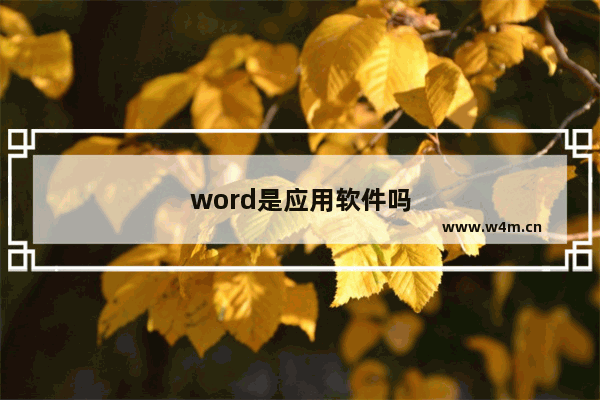 word是应用软件吗