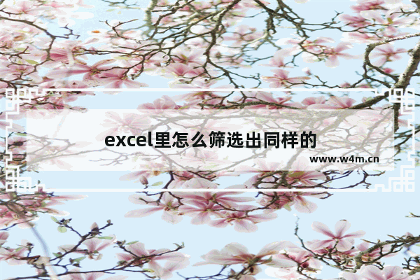 excel里怎么筛选出同样的