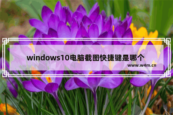 windows10电脑截图快捷键是哪个 windows10快速截屏方法