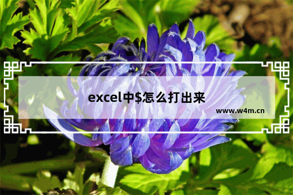 excel中$怎么打出来