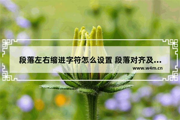 段落左右缩进字符怎么设置 段落对齐及缩进的设置