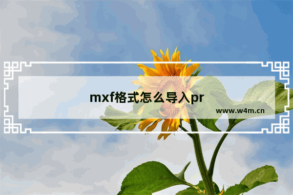 mxf格式怎么导入pr