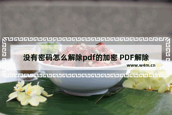 没有密码怎么解除pdf的加密 PDF解除密码怎么操作