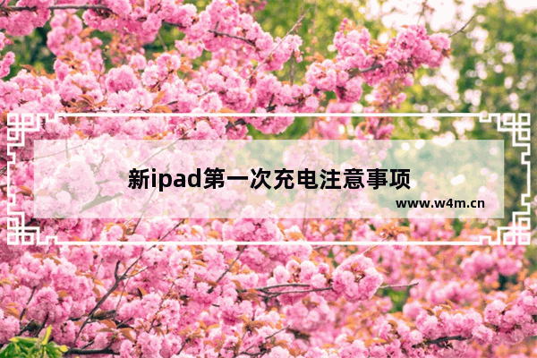 新ipad第一次充电注意事项