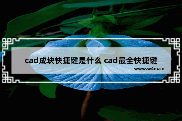 cad成块快捷键是什么 cad最全快捷键大全