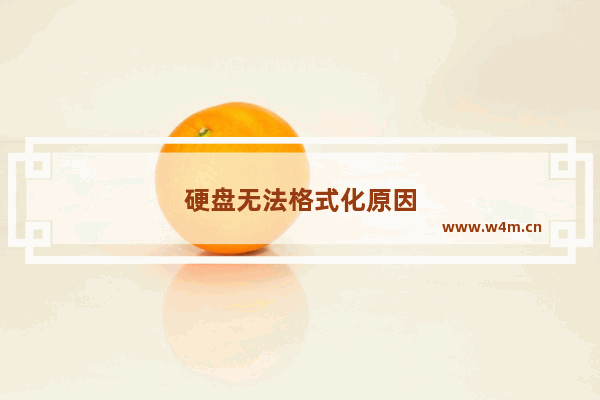 硬盘无法格式化原因