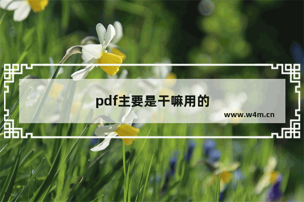 pdf主要是干嘛用的