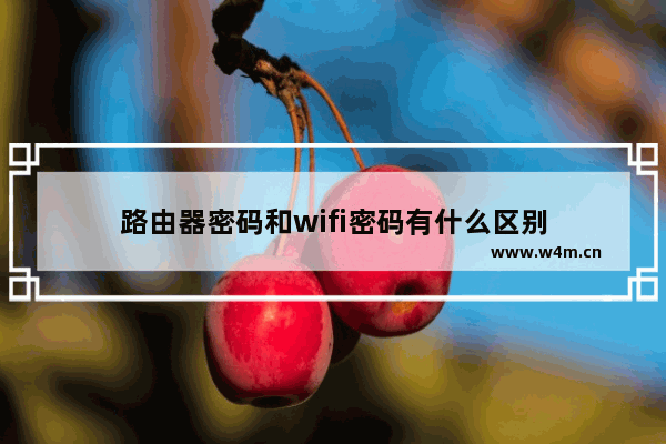 路由器密码和wifi密码有什么区别