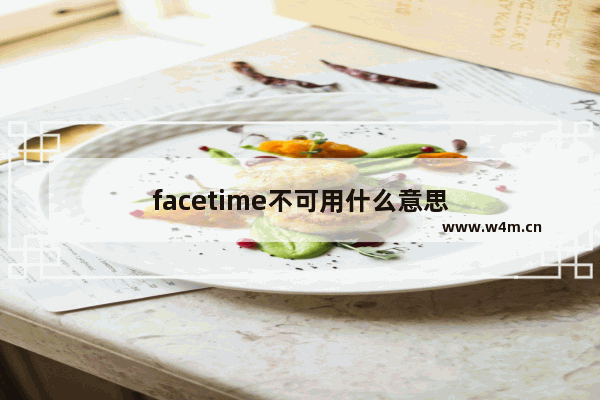 facetime不可用什么意思