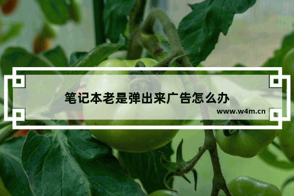 笔记本老是弹出来广告怎么办