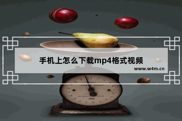 手机上怎么下载mp4格式视频