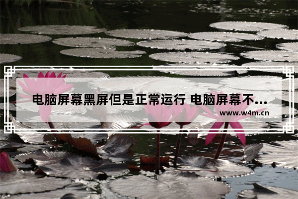 电脑屏幕黑屏但是正常运行 电脑屏幕不亮主机运行维修方法