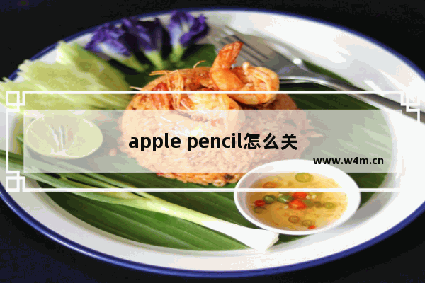 apple pencil怎么关